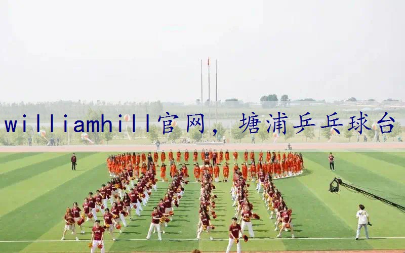 塘浦乒乓球台