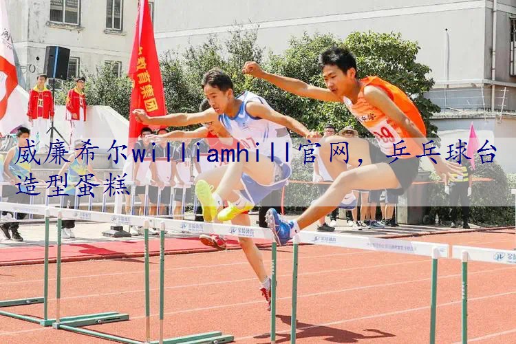 乒乓球台造型蛋糕