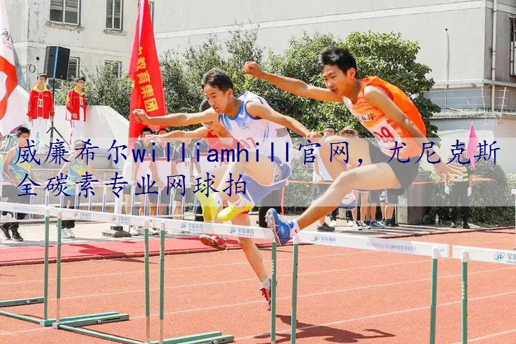 尤尼克斯全碳素专业网球拍
