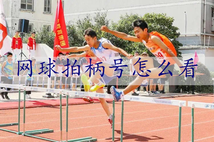 网球拍柄号怎么看