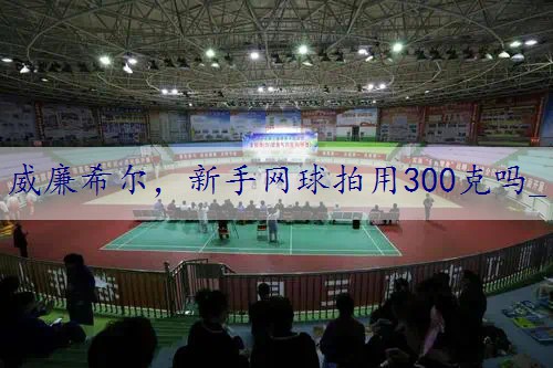 新手网球拍用300克吗_