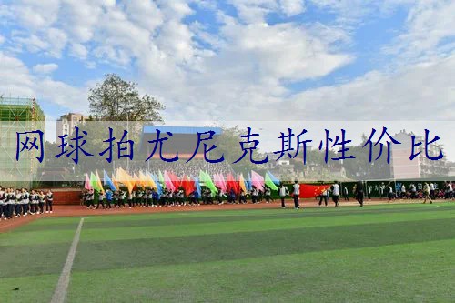 网球拍尤尼克斯性价比