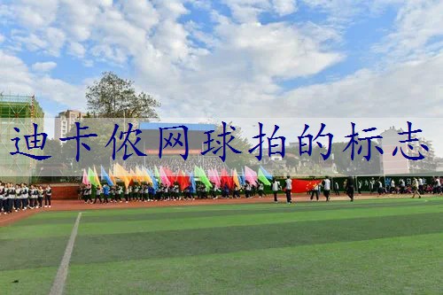 迪卡侬网球拍的标志
