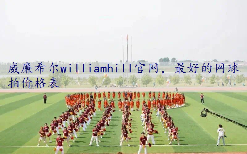 最好的网球拍价格表