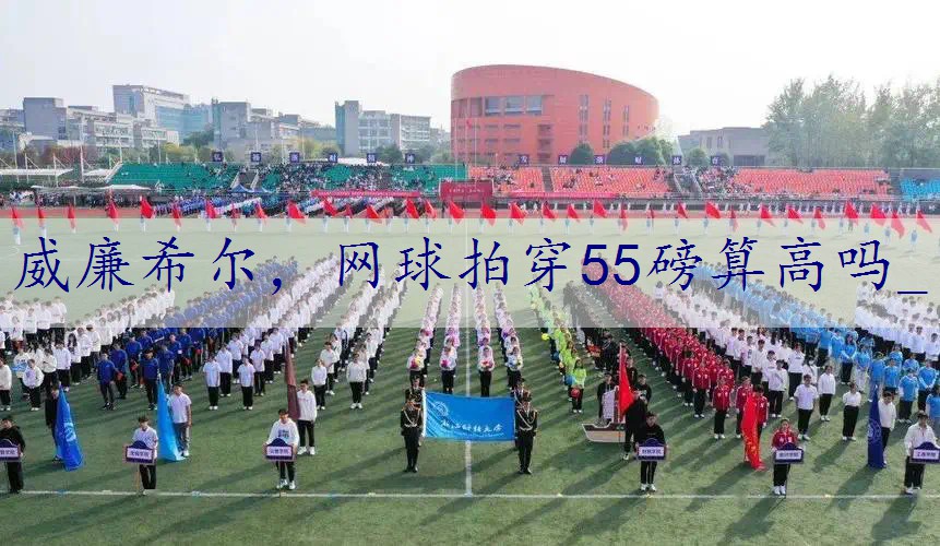 网球拍穿55磅算高吗_