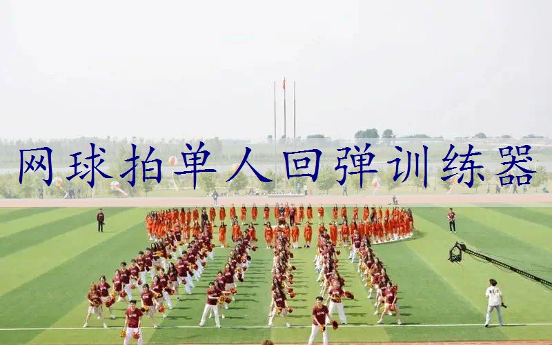 网球拍单人回弹训练器