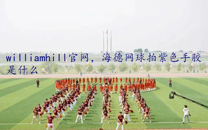 海德网球拍紫色手胶是什么