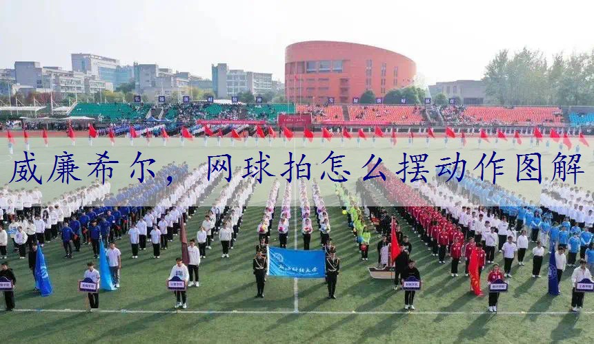 网球拍怎么摆动作图解