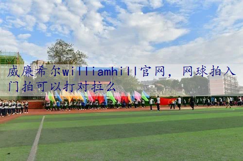 网球拍入门拍可以打对拉么