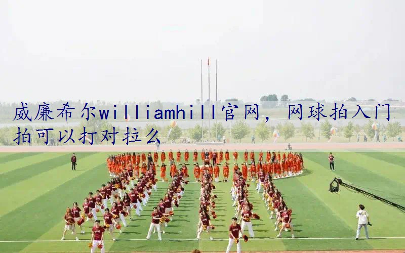 网球拍入门拍可以打对拉么