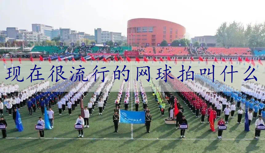 现在很流行的网球拍叫什么