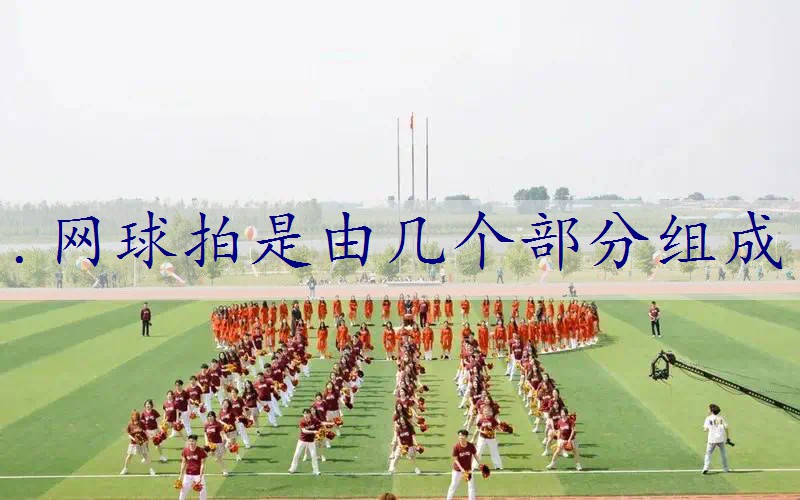 .网球拍是由几个部分组成