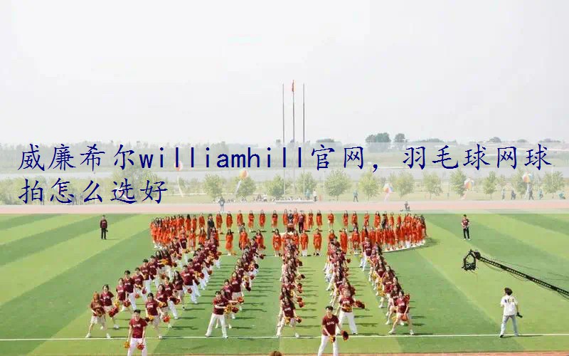 羽毛球网球拍怎么选好