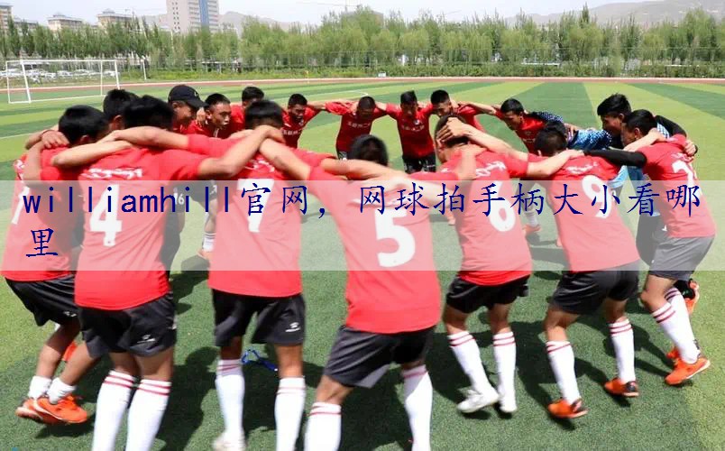 网球拍手柄大小看哪里