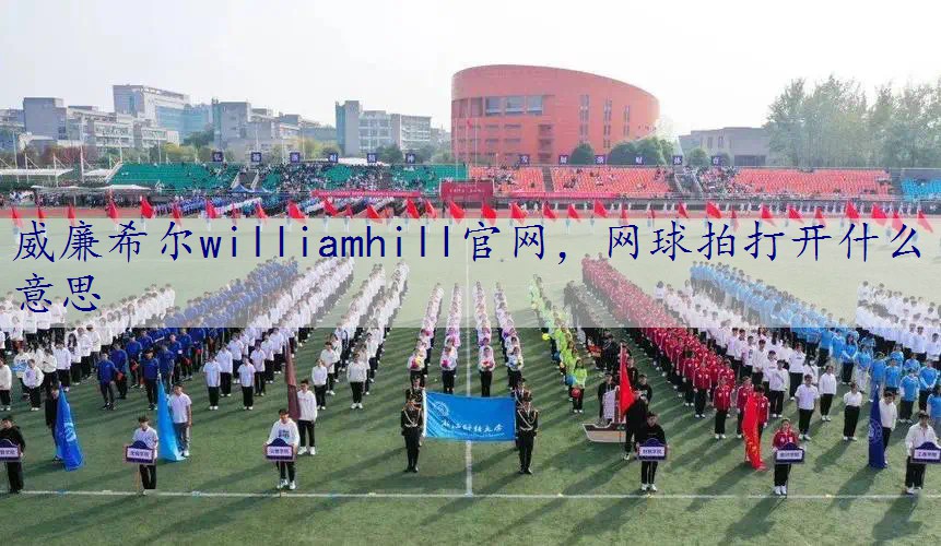 网球拍打开什么意思