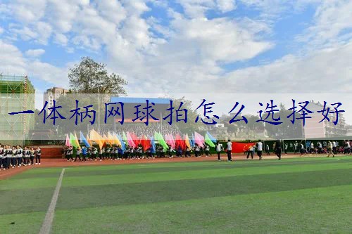 一体柄网球拍怎么选择好