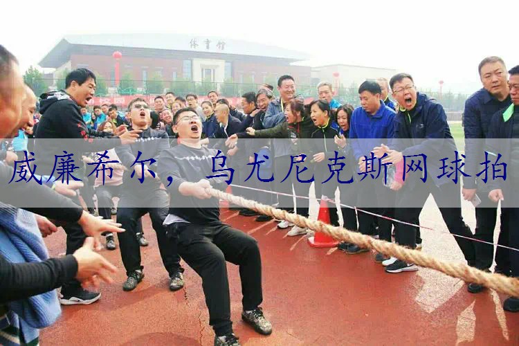 乌尤尼克斯网球拍