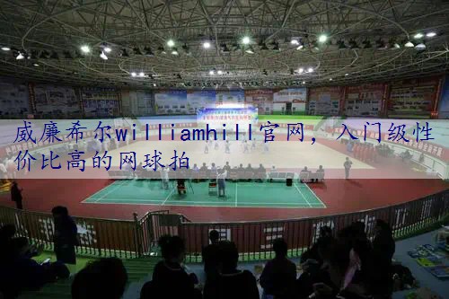 入门级性价比高的网球拍