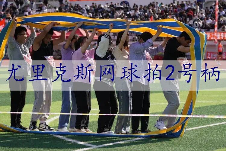 尤里克斯网球拍2号柄