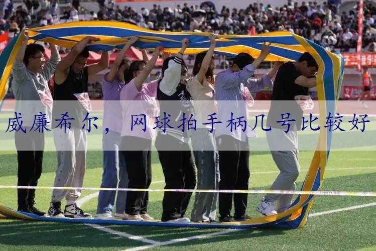 网球拍手柄几号比较好
