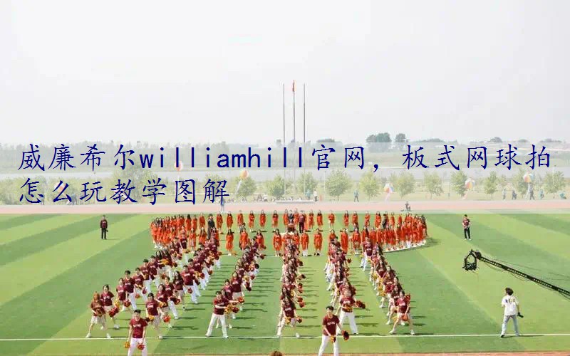 板式网球拍怎么玩教学图解