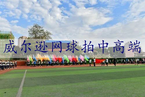 威尔逊网球拍中高端