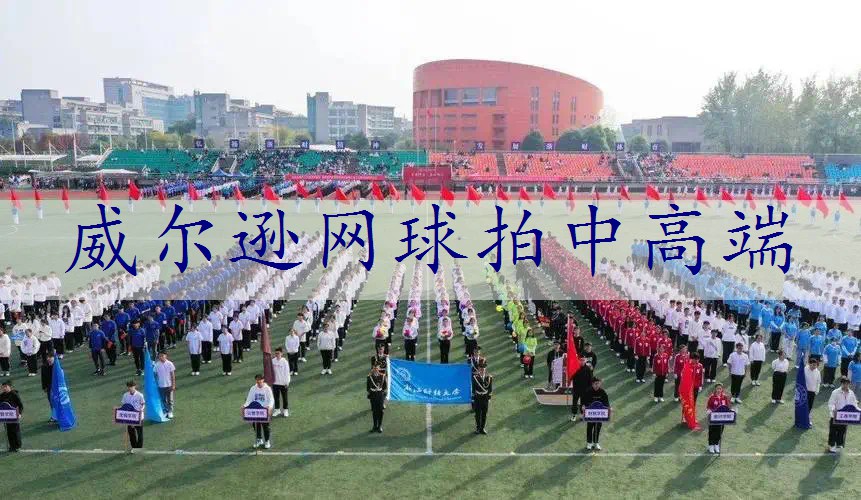 威尔逊网球拍中高端