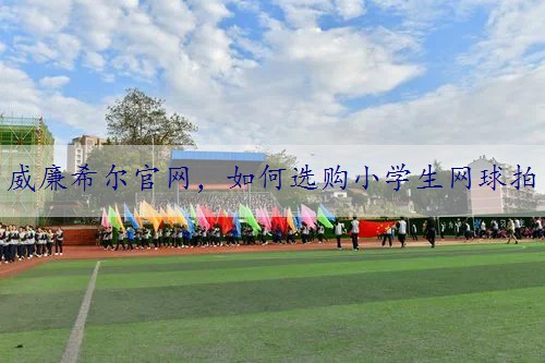 如何选购小学生网球拍