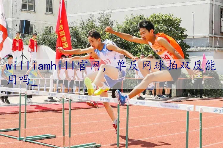 单反网球拍双反能用吗_