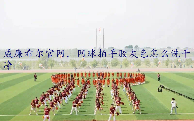 网球拍手胶灰色怎么洗干净