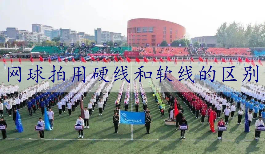 网球拍用硬线和软线的区别