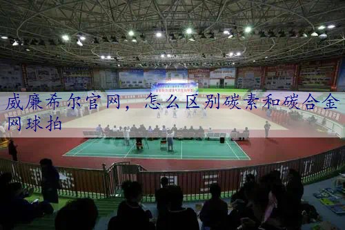 怎么区别碳素和碳合金网球拍
