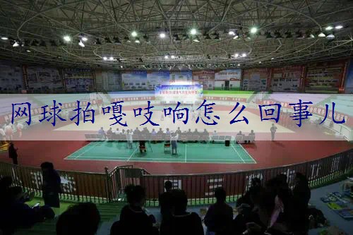 网球拍嘎吱响怎么回事儿