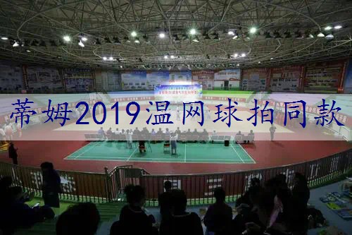 蒂姆2019温网球拍同款