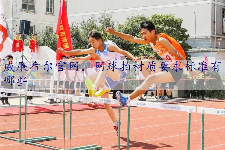 网球拍材质要求标准有哪些