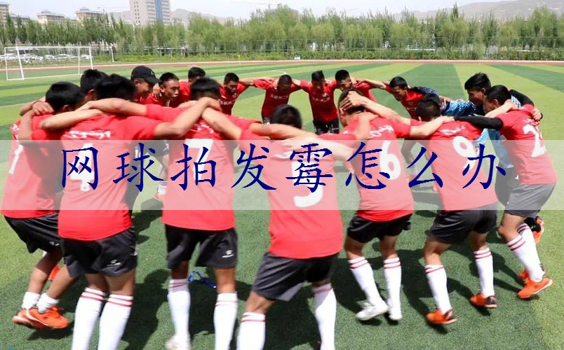 网球拍发霉怎么办