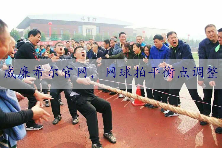 网球拍平衡点调整