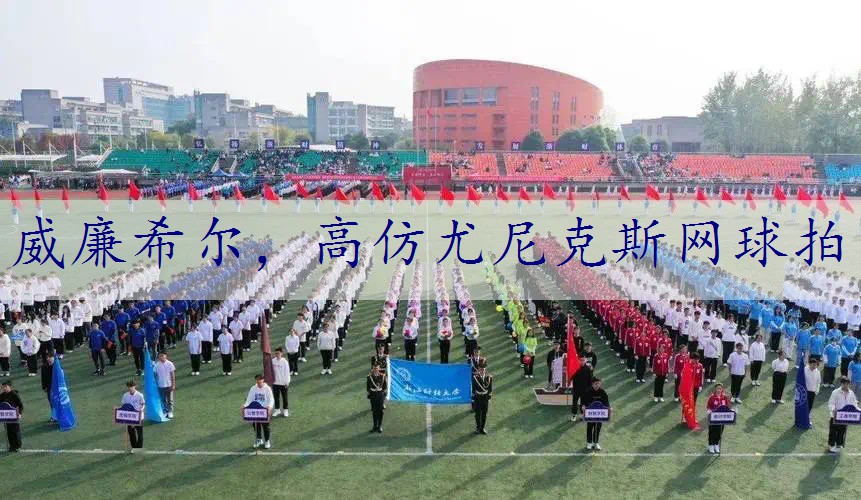 高仿尤尼克斯网球拍