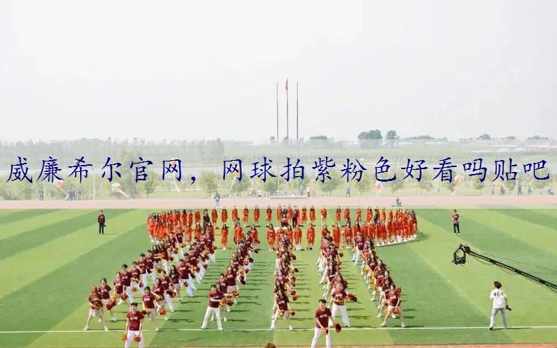 网球拍紫粉色好看吗贴吧
