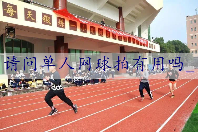 请问单人网球拍有用吗_
