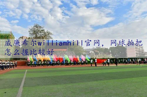 网球拍把怎么握比较好