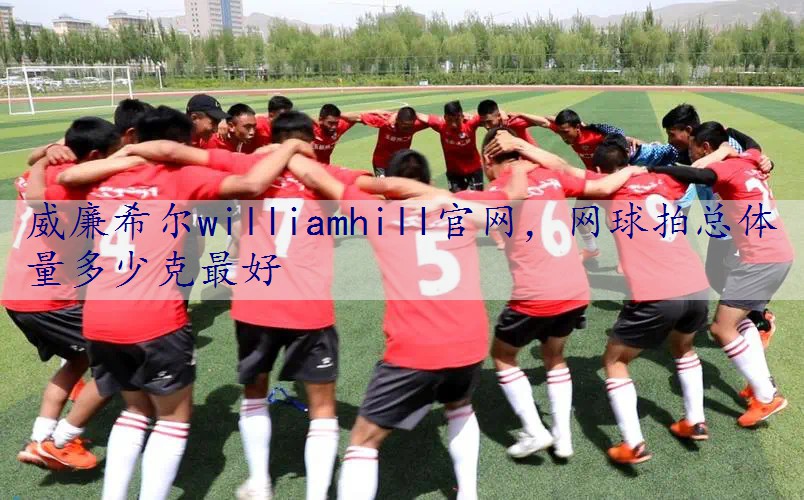 网球拍总体量多少克最好