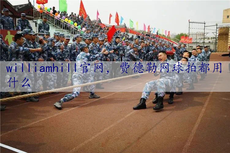 费德勒网球拍都用什么