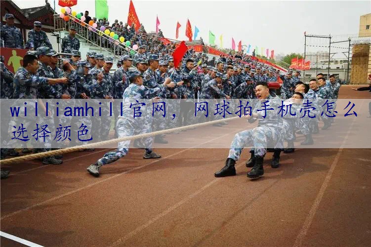 网球拍手机壳怎么选择颜色