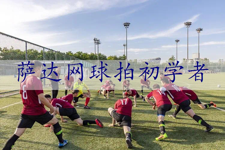 萨达网球拍初学者