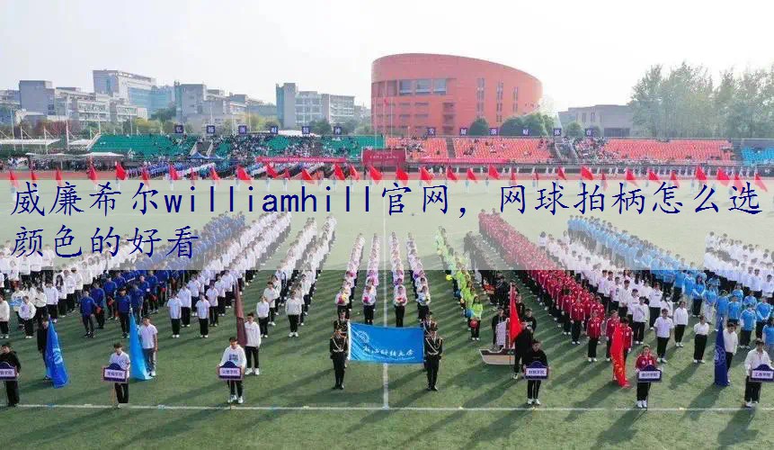 网球拍柄怎么选颜色的好看