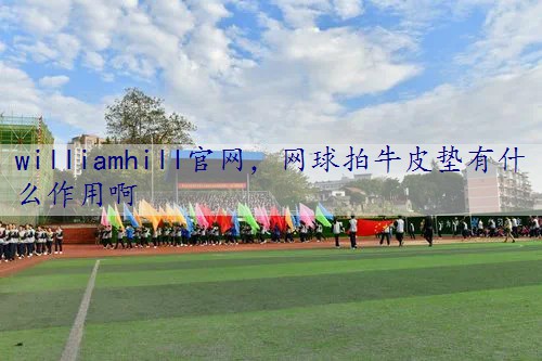 网球拍牛皮垫有什么作用啊