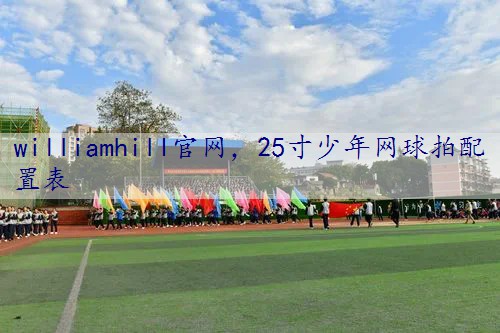 25寸少年网球拍配置表