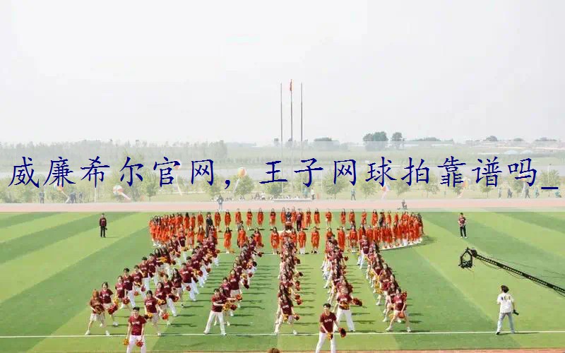 王子网球拍靠谱吗_