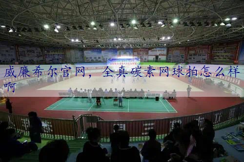 全真碳素网球拍怎么样啊